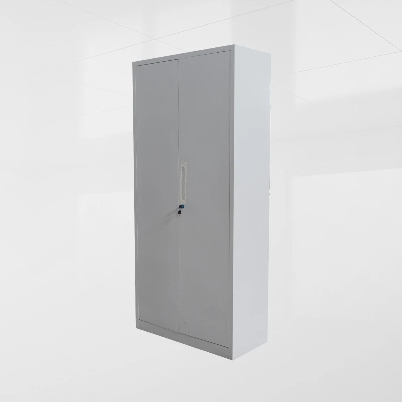 Double Door Steel Instrument Cabinet